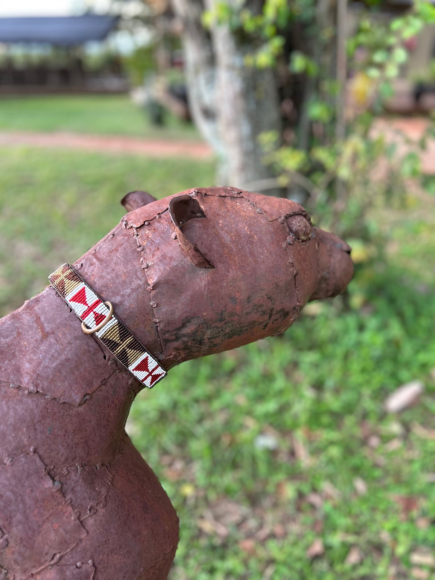 Pet Collar