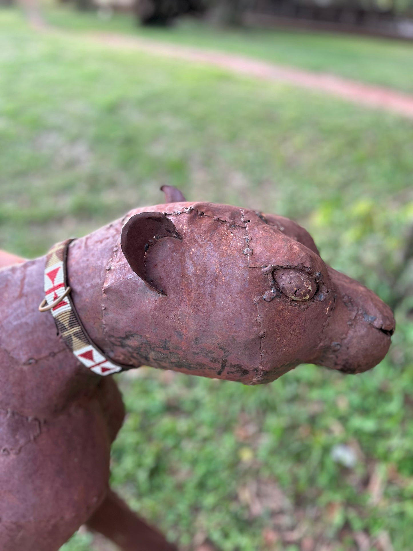 Pet Collar