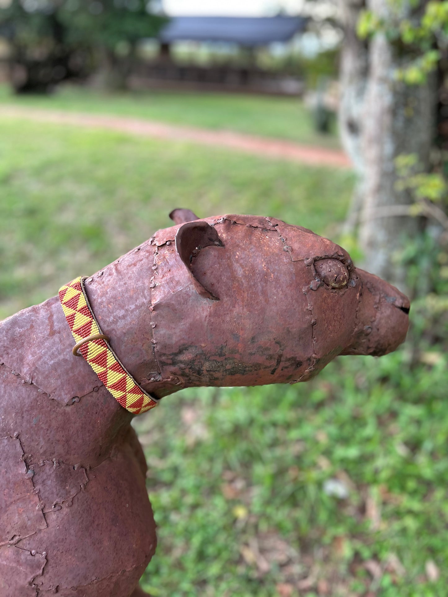 Pet Collar