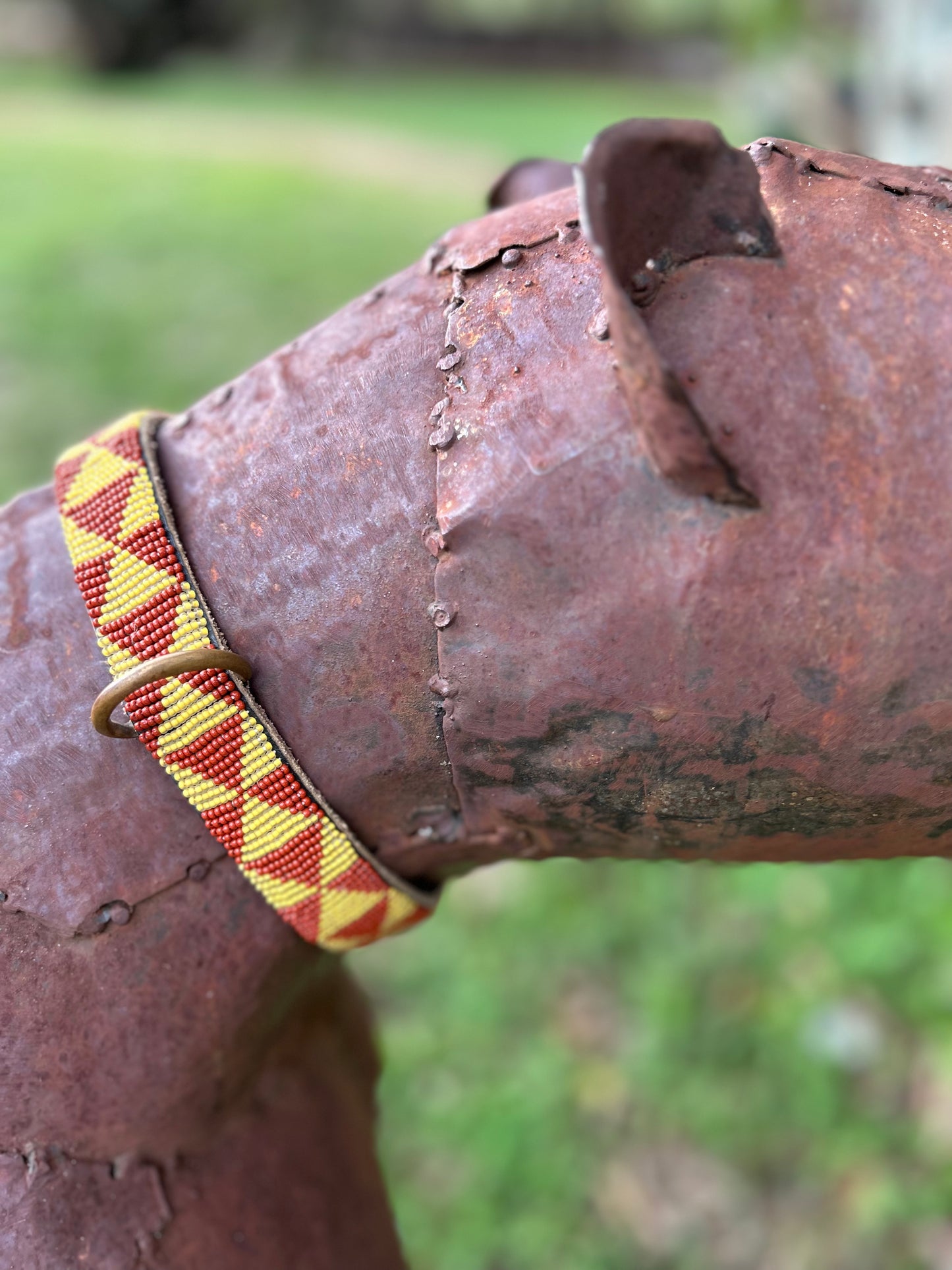 Pet Collar