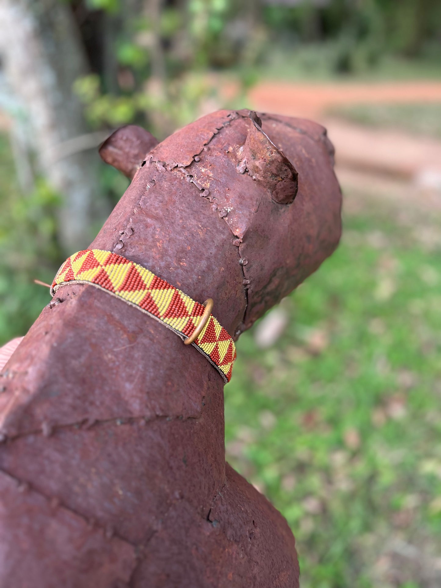 Pet Collar