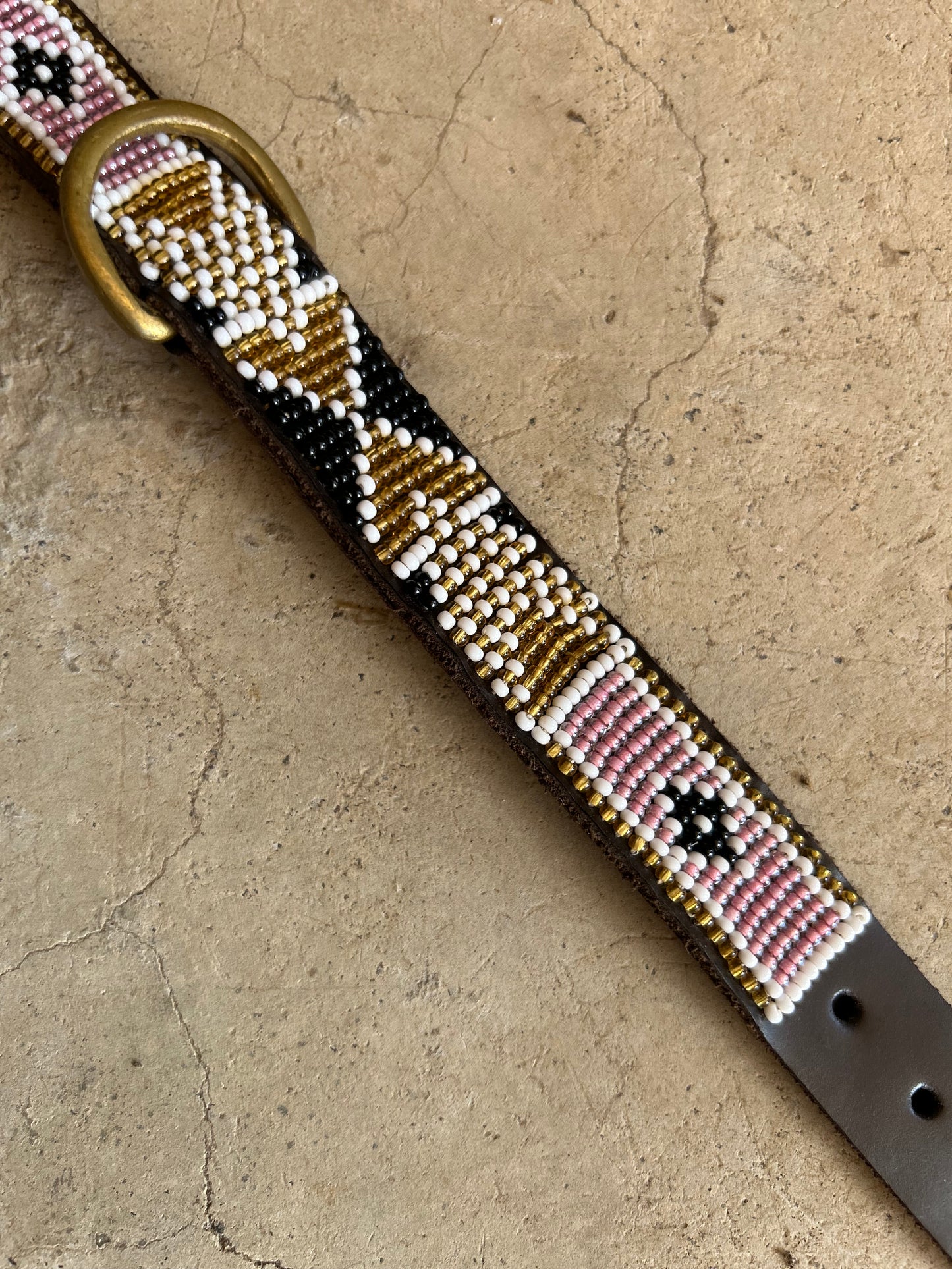 Pet Collar