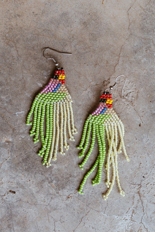 Tassel Earrings